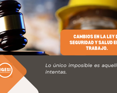 8. (curso) modificacion del reglamento de la ley 29783, ds 0012021tr.png