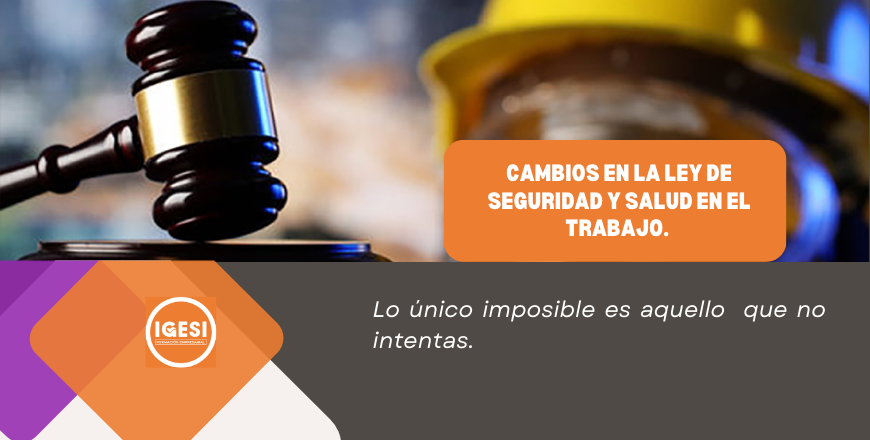 8. (curso) modificacion del reglamento de la ley 29783, ds 0012021tr.png